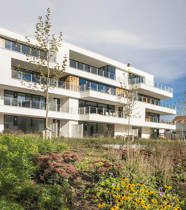 Binnendeuren_Projecten 18 PUR SANG – Waregem